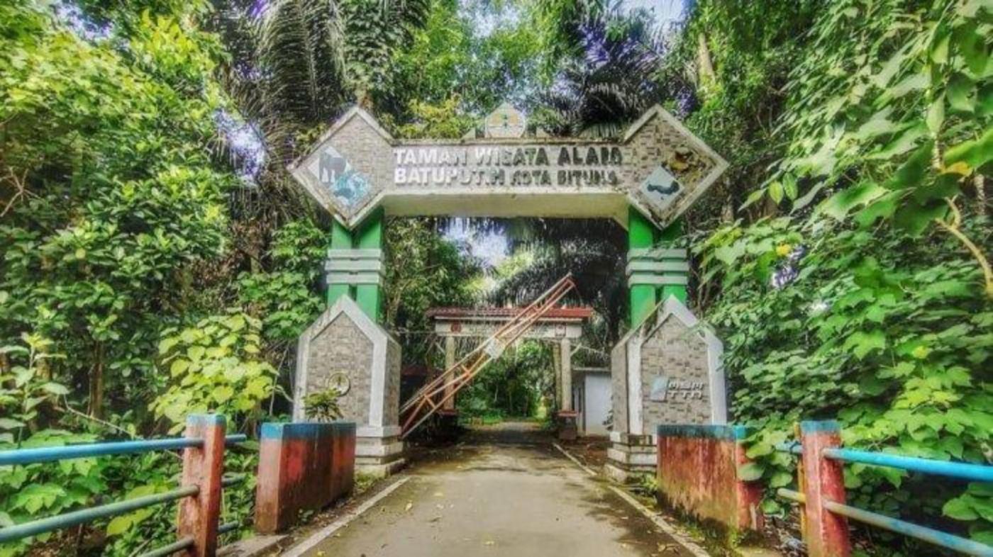 Hotel Tangkoko Macaca Rinondoran Esterno foto